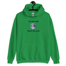 Load image into Gallery viewer, Inherit The Earth Men&#39;s Hoodie