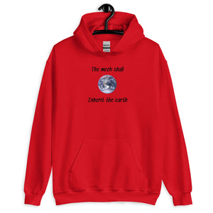 Inherit The Earth Men's Hoodie