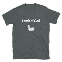 Load image into Gallery viewer, Lamb of God Men’s T-Shirt