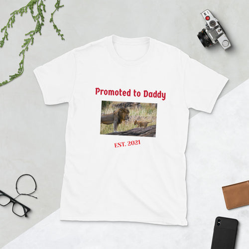 Promoted to Daddy Men's T-Shirt