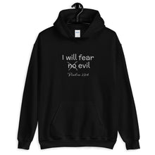 Load image into Gallery viewer, Fear No Evil Men&#39;s Hoodie