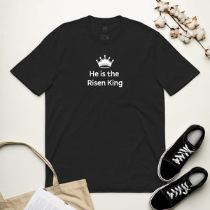 Risen King Men's Sustainable T-Shirt